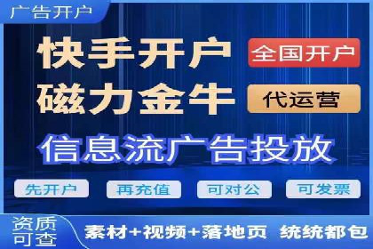 某企业选择SEM外包公司的决策与成果展示